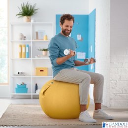 Piłka do siedzenia Leitz Ergo Cosy, żółta 52790019