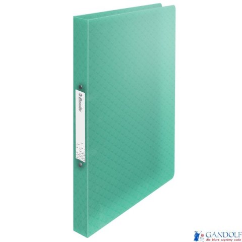 Segregator ringowy Esselte ColourBreeze, 2 RR, 25 mm, zielony 626243 Segregator ringowy Esselte ColourBreeze, 2 RR, 25 mm, zielony 626243