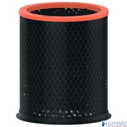 Wymienny węglowy filtr dla właścicieli zwierząt Leitz TruSens Z-3000 2415132