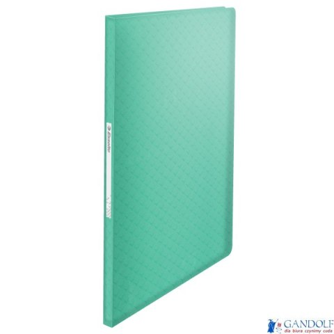 Album ofertowy Esselte ColourBreeze, z 40 koszulkami, zielony 626228 Esselte Album ofertowy Esselte ColourBreeze, z 40 koszulkami, zielony 626228 Esselte