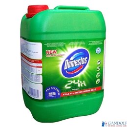 DOMESTOS Płyn do mycia WC 5l Pine Fresh HDV023 *21120