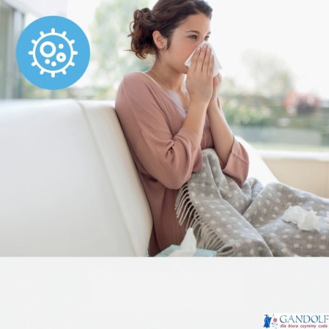 Filtr antyalergiczny i przeciwgrypowy HEPA (3 w 1) Leitz TruSens Z-1000 2415115