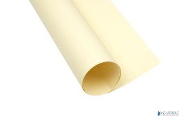 Karton kolorowy Creatinio A1 160g 25ark nr.12 kremowy 400149521 TOP-2000