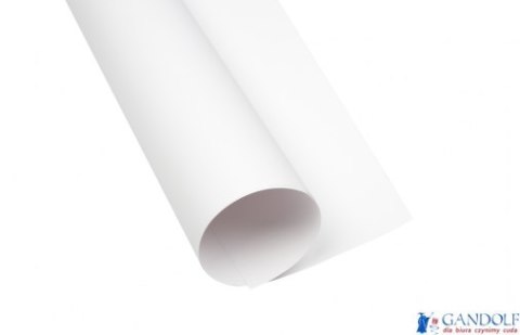 Karton kolorowy Creatinio A1 160g 25ark nr.7 biały 400149520 TOP-2000