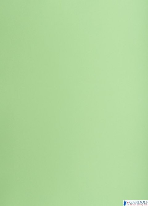 Karton kolorowy Creatinio A2 160g 25ark nr.69 groszkowy 400150191 TOP-2000