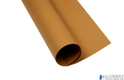 Karton_kolorowy Creatinio B1 225g 25ark nr.16 jasnobrązowy 400150258 TOP-2000