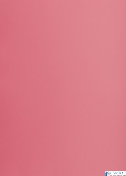 Karton kolorowy Oxford B1 225g 25ark nr.22 różowy 400150260 TOP-2000