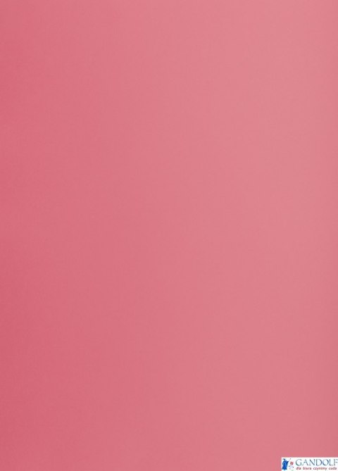 Karton kolorowy Oxford B1 225g 25ark nr.22 różowy 400150260 TOP-2000