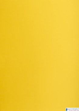 Karton kolorowy Oxford B1 225g 25ark nr.58 c.żółty 400150257 TOP-2000