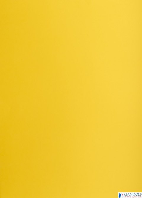 Karton kolorowy Oxford B1 225g 25ark nr.58 c.żółty 400150257 TOP-2000