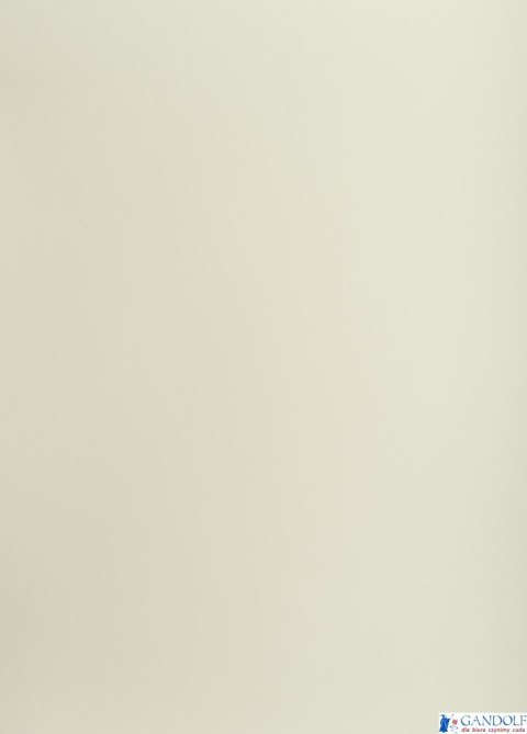 Karton kolorowy Oxford B2 225g 25ark nr. 93 j.szary 400150322 TOP-2000