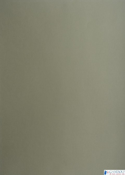 Karton kolorowy Oxford B2 225g 25ark nr.98 c.szary 400150324 TOP-2000