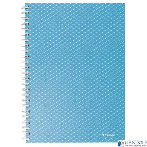 Kołonotatnik ColourBreeze A5, w kratkę, niebieski Esselte 628466