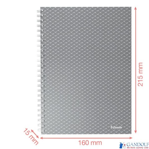 Kołonotatnik ColourBreeze A5, w kratkę, niebieski Esselte 628466