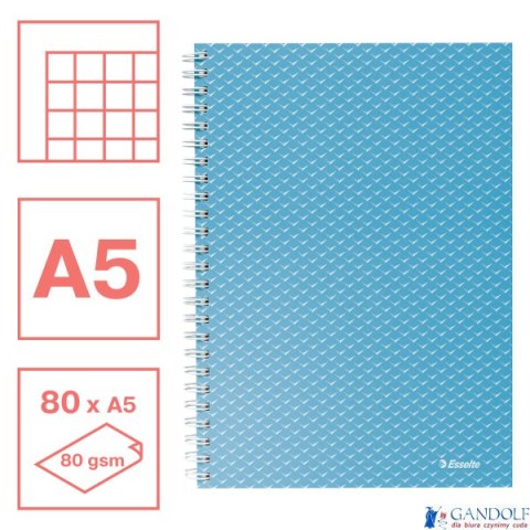 Kołonotatnik ColourBreeze A5, w kratkę, niebieski Esselte 628466