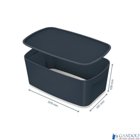 MyBox Cosy mały pojemnik z pokrywką, szary Leitz 52630089