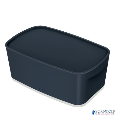 MyBox Cosy mały pojemnik z pokrywką, szary Leitz 52630089