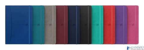 Notatnik OXFORD SIGNATURE A5 80 kartek kratka mix kolorów 400154868