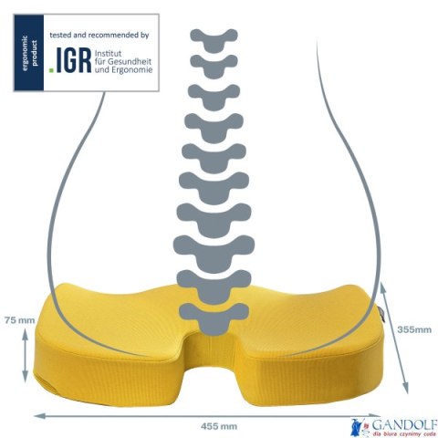 Ortopedyczna poduszka na krzesło Leitz Ergo Cosy, żółta 52840019