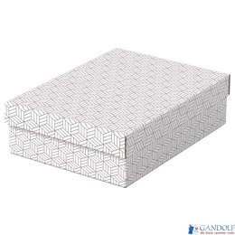 Pudełka domowe do przechowywania, płaskie, rozmiar M, 3 sztuki, białe Esselte 628284