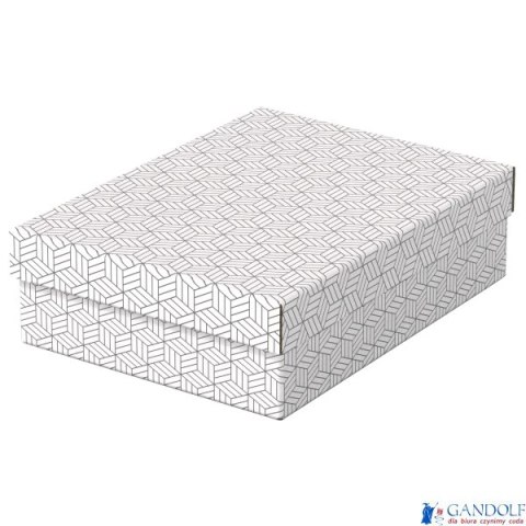 Pudełka domowe do przechowywania, płaskie, rozmiar M, 3 sztuki, białe Esselte 628284