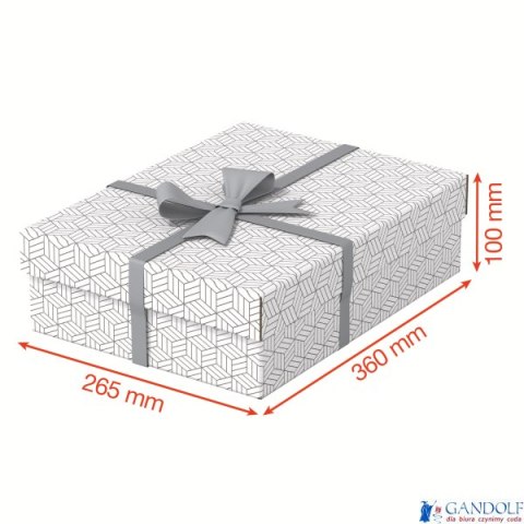 Pudełka domowe do przechowywania, płaskie, rozmiar M, 3 sztuki, białe Esselte 628284