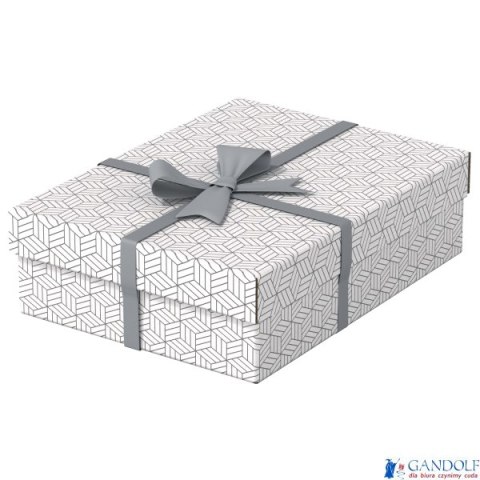 Pudełka domowe do przechowywania, płaskie, rozmiar M, 3 sztuki, białe Esselte 628284