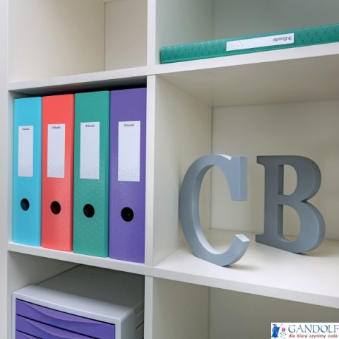 Segregator Esselte Colour Breeze, z polyfoamu A4, 82 mm, niebieski 626217