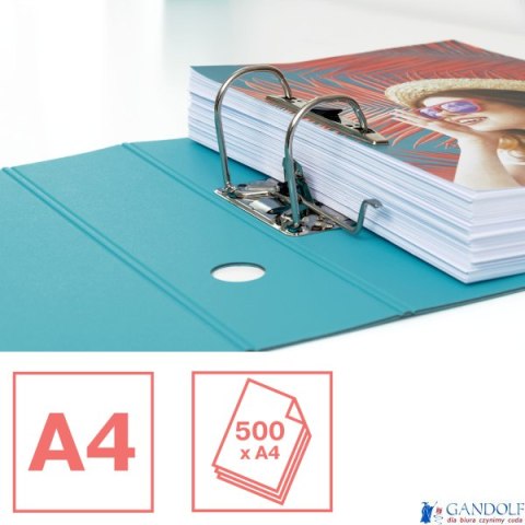 Segregator Esselte Colour Breeze, z polyfoamu A4, 82 mm, niebieski 626217