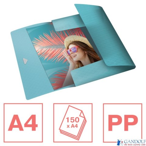 Teczka z gumką Esselte ColourBreeze, 15 mm, niebieski 626222