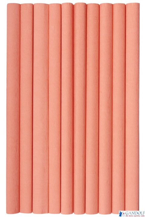 Bibuła marszczona Creatinio 50x200 łososiowy 400153898 TOP-2000