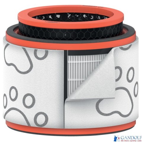 Filtr dla właścicieli zwierząt HEPA (3 w 1) Leitz TruSens Z-2000 2415129