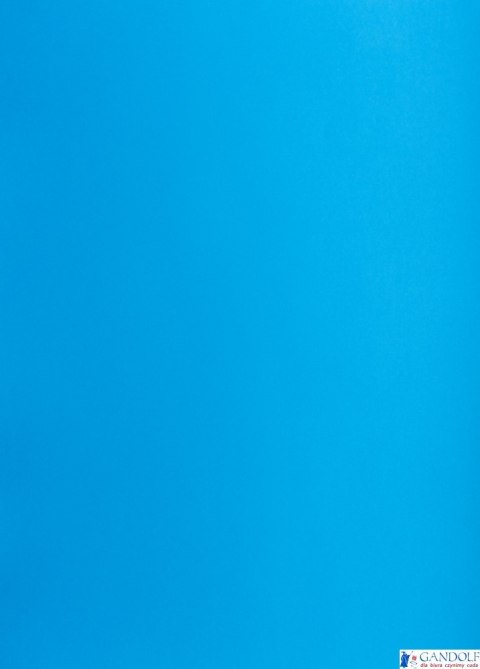 Karton kolorowy Creatinio A1 160g 25ark nr.78K c.niebieski 400149566 TOP-2000