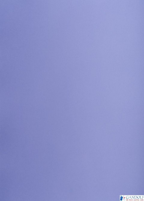 Karton kolorowy Creatinio A1 160g 25ark nr.86P purpurowy 400149563 TOP-2000