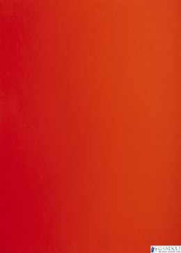 Karton kolorowy Oxford B1 225g 25ark nr.28 czerwony 400150262 TOP-2000