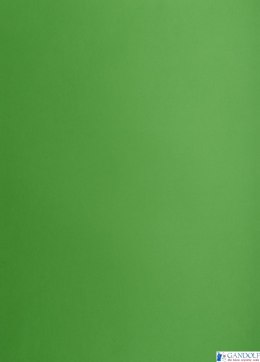 Karton kolorowy Oxford B1 225g 25ark nr.68 zielony 400150268 TOP-2000