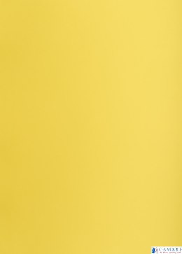 Karton kolorowy Oxford B2 225g 25ark nr.55 żółty 400150334 TOP-2000