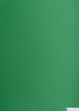 Karton kolorowy Oxford B2 225g 25ark nr.63 c.zielony 400150339 TOP-2000