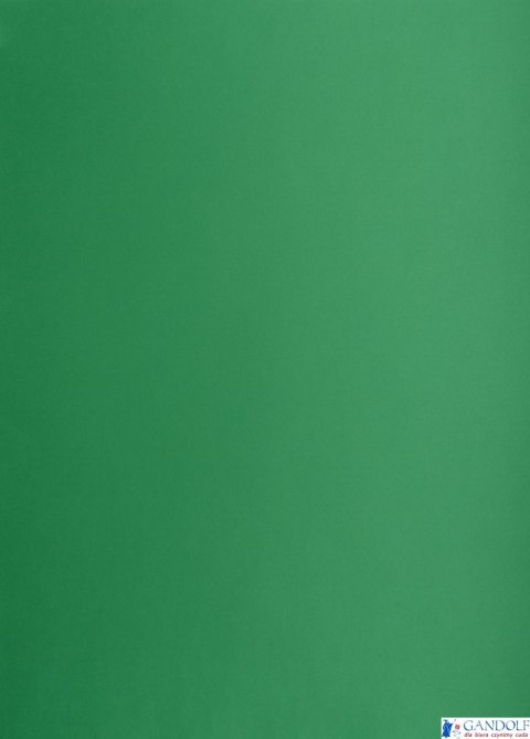 Karton kolorowy Oxford B2 225g 25ark nr.63 c.zielony 400150339 TOP-2000