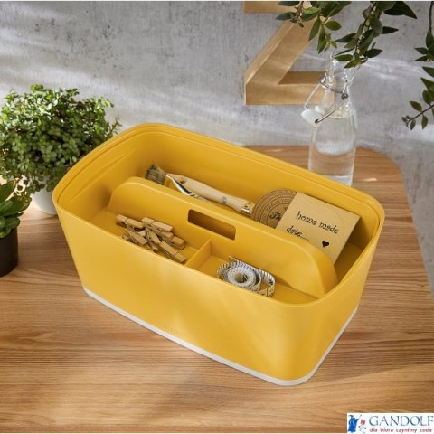 Mały organizer do przechowywania Leitz MyBox Cosy, z uchwytem 52660019
