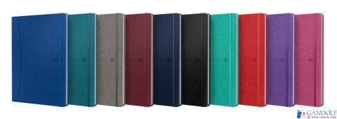 Notatnik OXFORD SIGNATURE B5 80kartek kratka mix 400154949