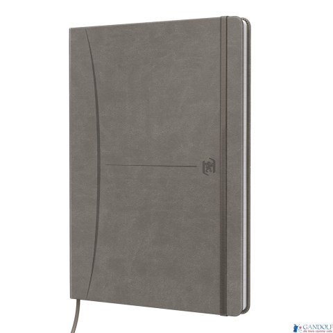 Notatnik OXFORD SIGNATURE B5 80kartek kratka mix 400154949