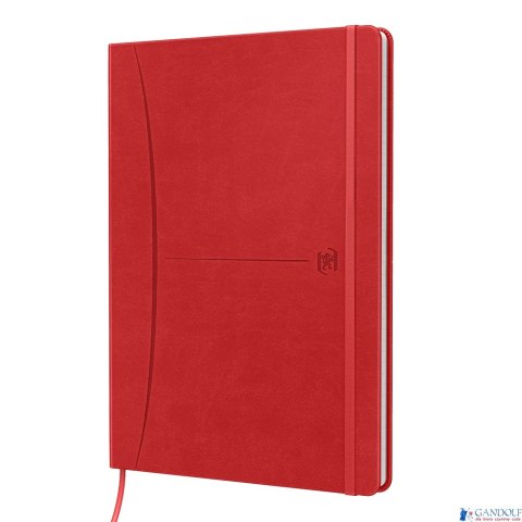 Notatnik OXFORD SIGNATURE B5 80kartek kratka mix 400154949