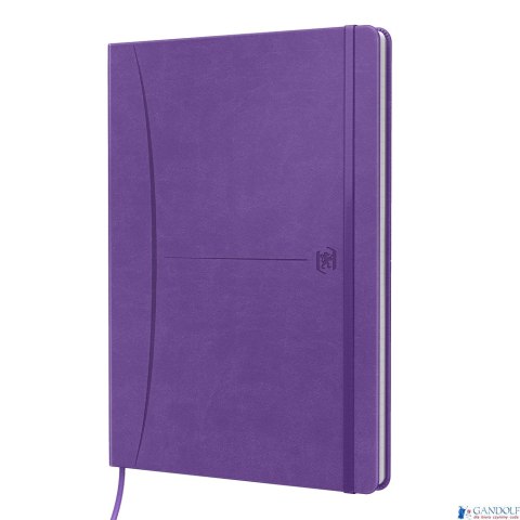 Notatnik OXFORD SIGNATURE B5 80kartek kratka mix 400154949