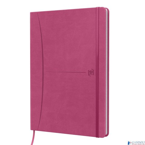 Notatnik OXFORD SIGNATURE B5 80kartek kratka mix 400154949