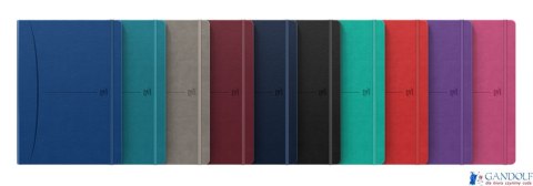 Notatnik OXFORD SIGNATURE B5 80kartek kratka mix 400154949