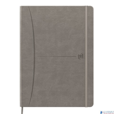 Notatnik OXFORD SIGNATURE B5 80kartek kratka mix 400154949