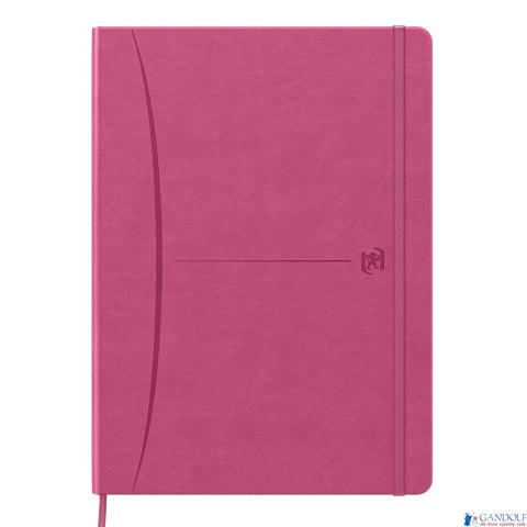 Notatnik OXFORD SIGNATURE B5 80kartek kratka mix 400154949