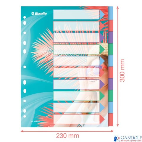 Przekładki Colour Breeze PP A4, 10 przekładek Esselte 628500 Przekładki Colour Breeze PP A4, 10 przekładek Esselte 628500