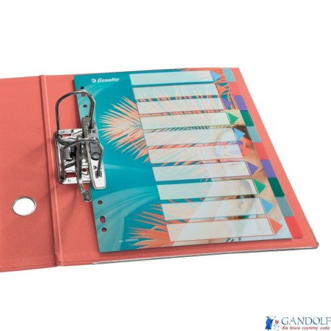 Przekładki Colour Breeze PP A4, 10 przekładek Esselte 628500 Przekładki Colour Breeze PP A4, 10 przekładek Esselte 628500